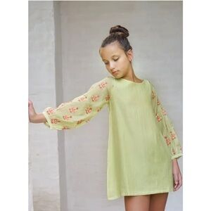 Well Dressed Wolf Raquel Tunic dress size 6